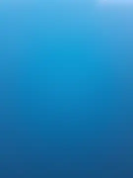 FloppyPickle4u 라이브 XXX 채팅
