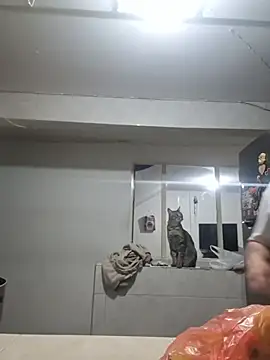 צ'אט XXX בשידור חי של prettyangelsquirt