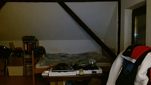 Show modela mariuchohot na web-kameri