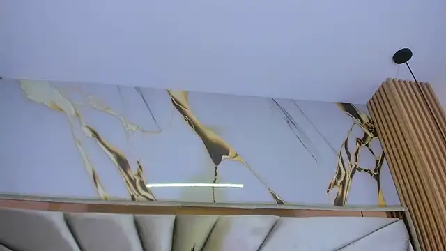 KensyRoseVs ওয়েবক্যাম শো