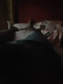 Mr_beast_09 – webcam-show