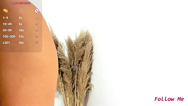 Czat XXX na żywo – jade_xxx