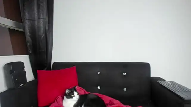 Onion_knight Chat XXX in diretta