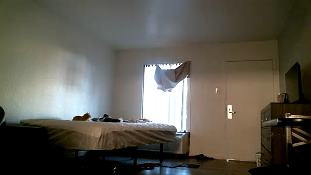 SexyB214n Live XXX chat