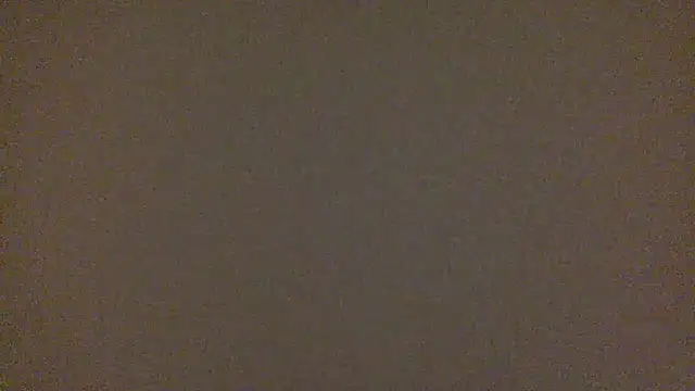BeatrixxAndLiam Live XXX-Chat