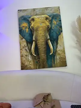 Karim_Nabil 라이브 XXX 채팅