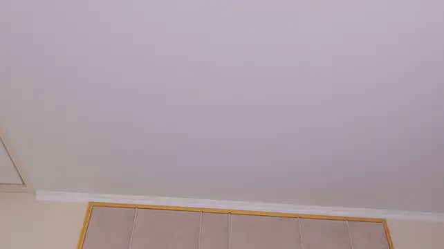JayneMiler Live XXX-chat