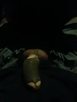 Show de webcam de Lilwil007