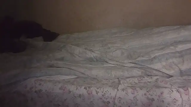 Chat XXX ao vivo de joaopimto0