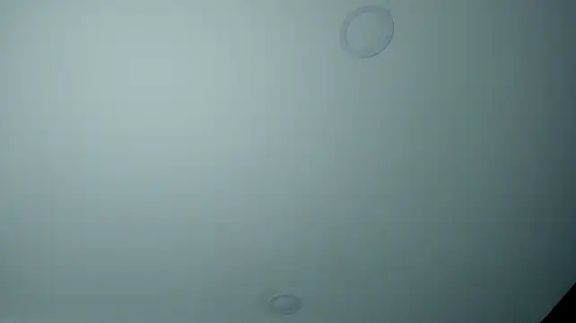DilanMiller_ Obrolan Langsung XXX