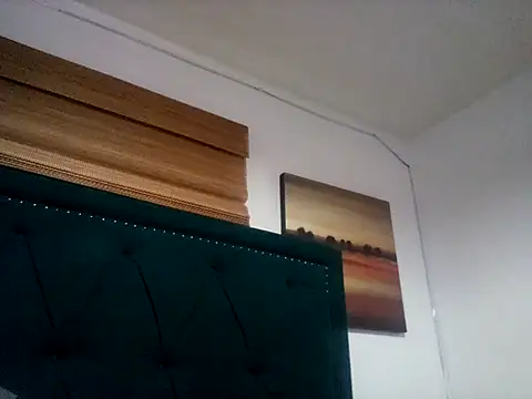 Blkstylion Pertunjukan Webcam