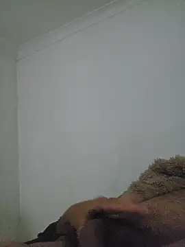 Show webcam de justkronos