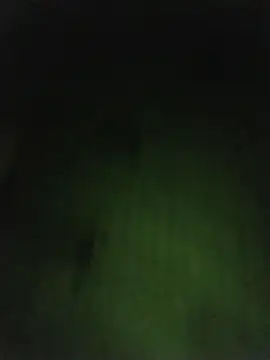 Chat XXX Live rejypool