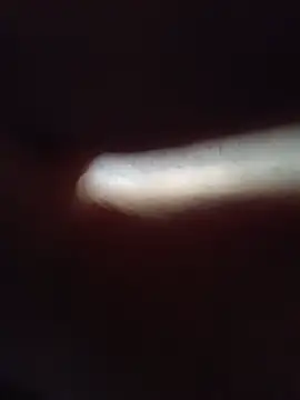 Pokazy przed kamerką – Yash_Sharma18