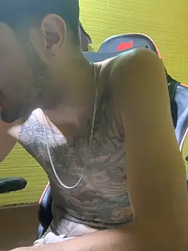 Show webcam de Housebalifans