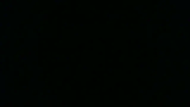 SamuelTal Live XXX-Chat