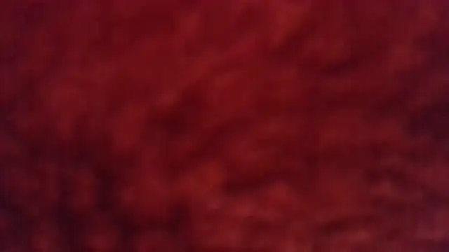 Chat XXX ao vivo de deepinnnnn