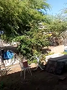 ____juice2026_____ webcam show