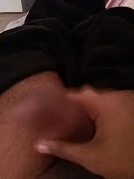 DenHaag31 webcam show