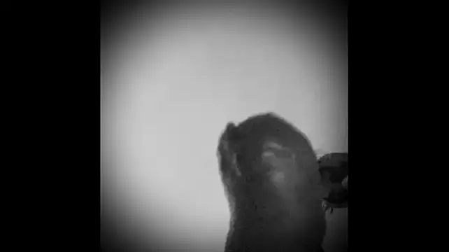Guyst049 라이브 XXX 채팅