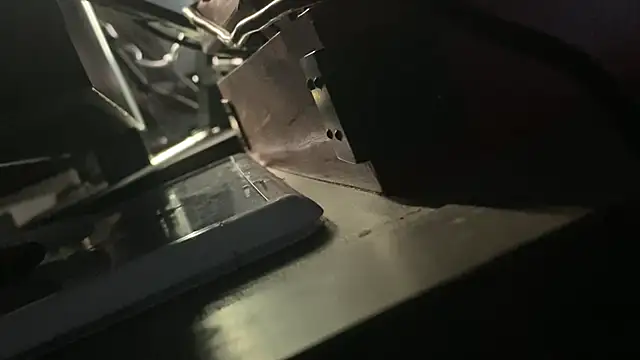 flexingplexico Show in webcam