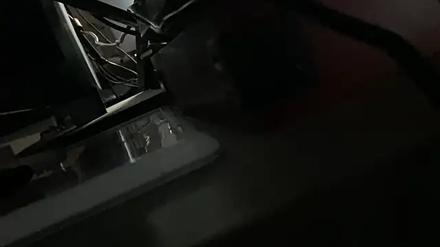 הופעת וובקאם של flexingplexico