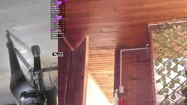 Czat XXX na żywo – Destiny__Hall