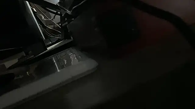 הופעת וובקאם של flexingplexico