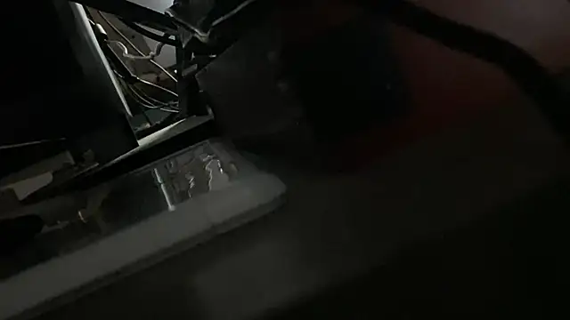 Pertunjukan Kamera Web flexingplexico