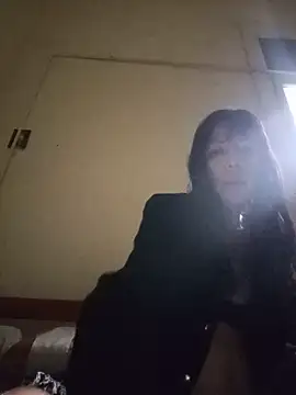 vio86n Webbikameraesitys