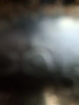 Онлайн чат XXX Savonani