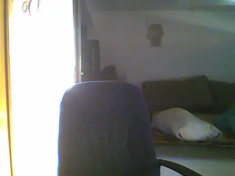 Dejanaceking Chat XXX live