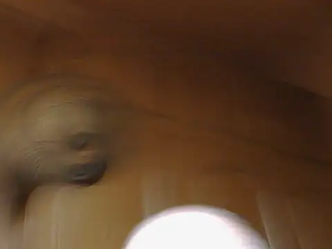 1973teacher live XXX chat