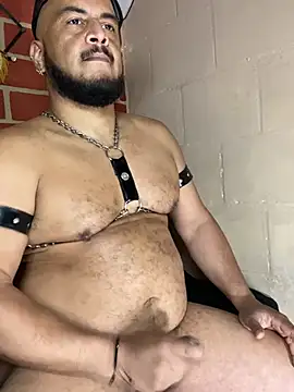 the_master_foal_ লাইভ XXX চ্যাট