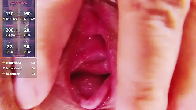 xiaoqingren 网络视讯表演