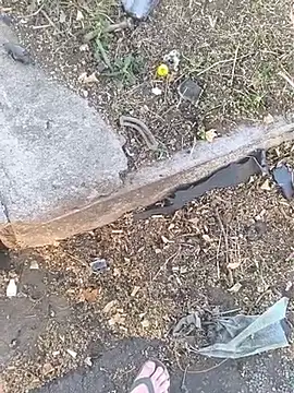 Homeless_hunter 在線直播表演