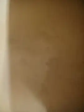 HasslingSnowball's Live XXX Chat