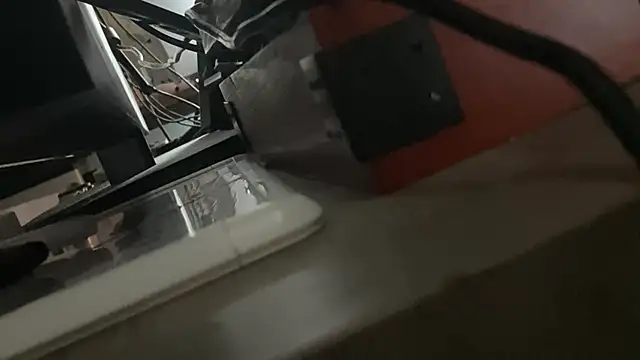 flexingplexico 라이브 XXX 채팅