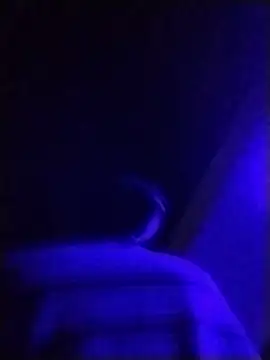 chezzy0502 라이브 XXX 채팅