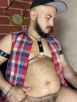 Chatroom XXX en direct de the_master_foal_