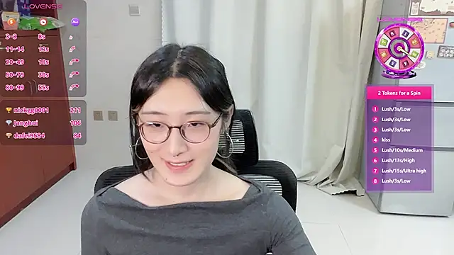 Show webcam de Gooose6