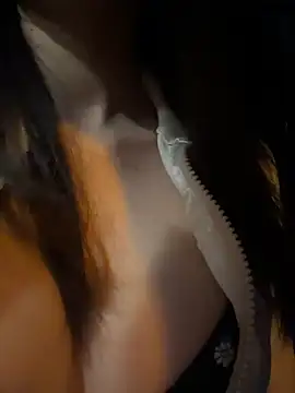Show webcam de cookie522