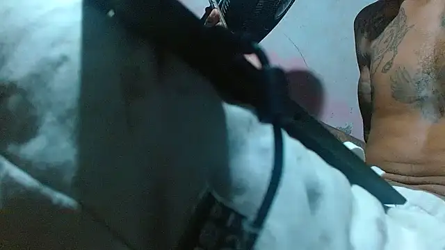 צ'אט XXX בשידור חי של soypleve