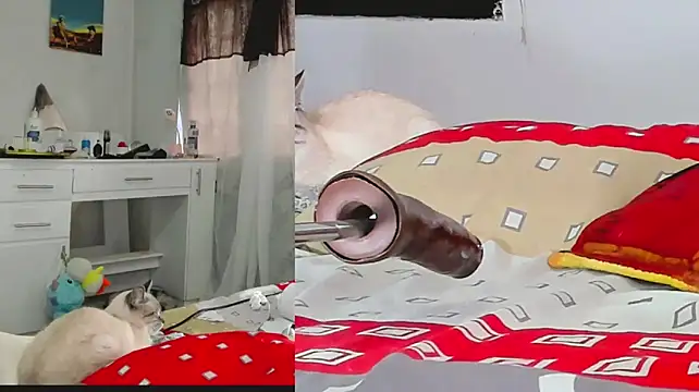 Chat +18 de Deboraaa_ ao vivo