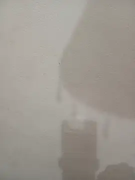 Tanha18 Live XXX-Chat