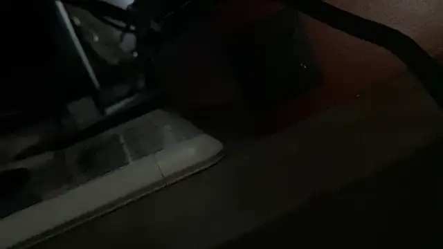 flexingplexico 라이브 XXX 채팅