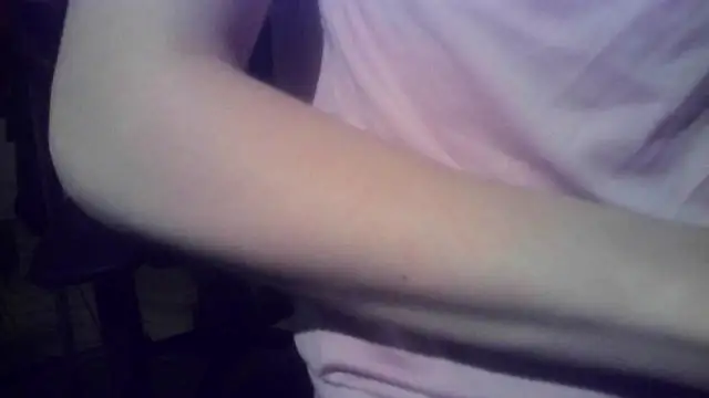werdez live XXX chat