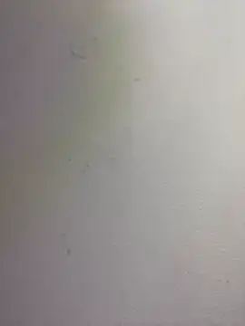 Laila_Bunny_ 现场XXX聊天
