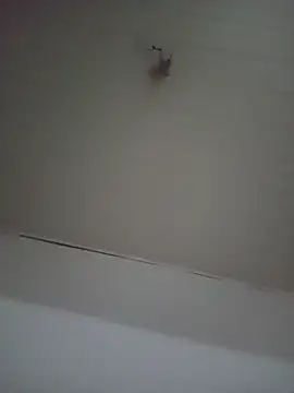 Show de webcam de tekkensc