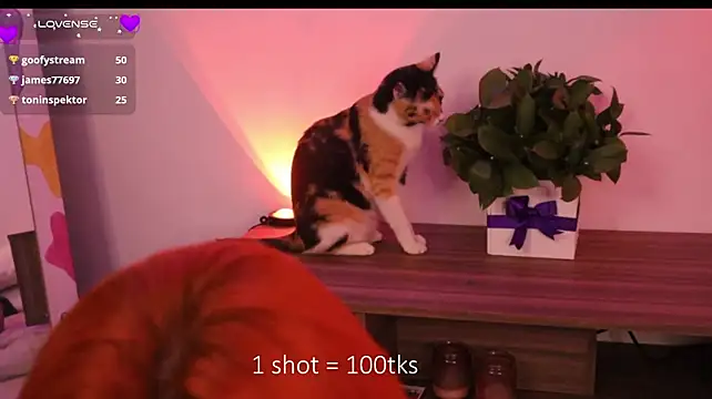 Daarlene Live XXX-Chat